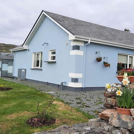Clifden Wildflower Cottage - Clifden Countryside Lettings المظهر الخارجي الصورة