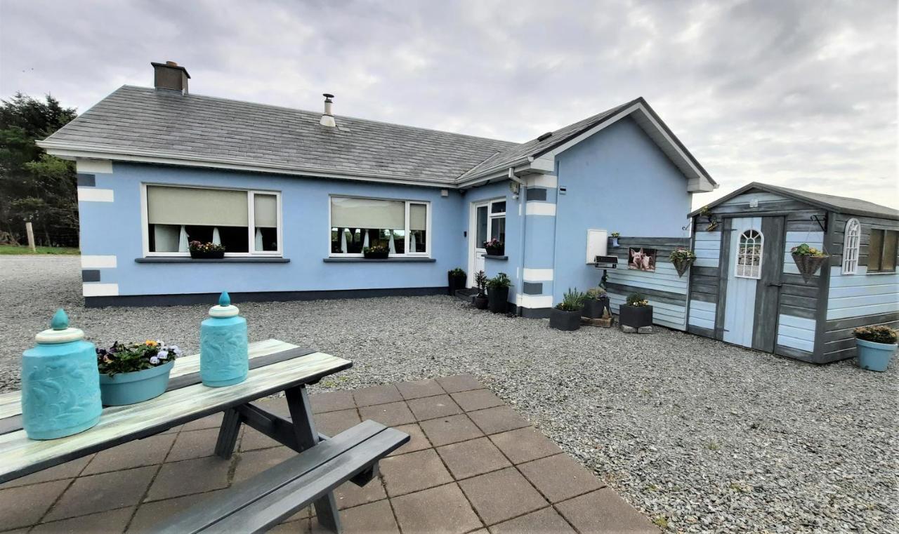 Clifden Wildflower Cottage - Clifden Countryside Lettings المظهر الخارجي الصورة