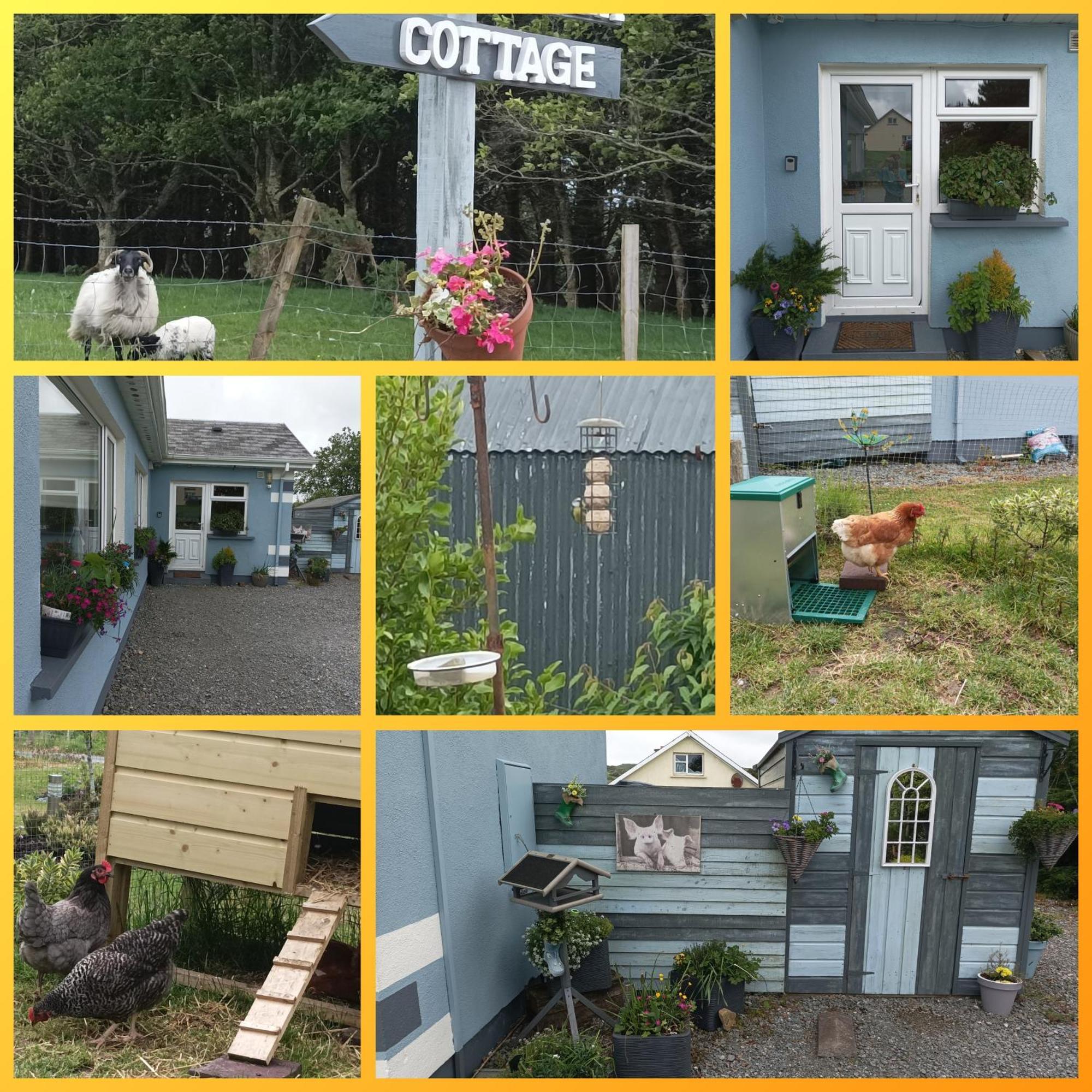 Clifden Wildflower Cottage - Clifden Countryside Lettings المظهر الخارجي الصورة