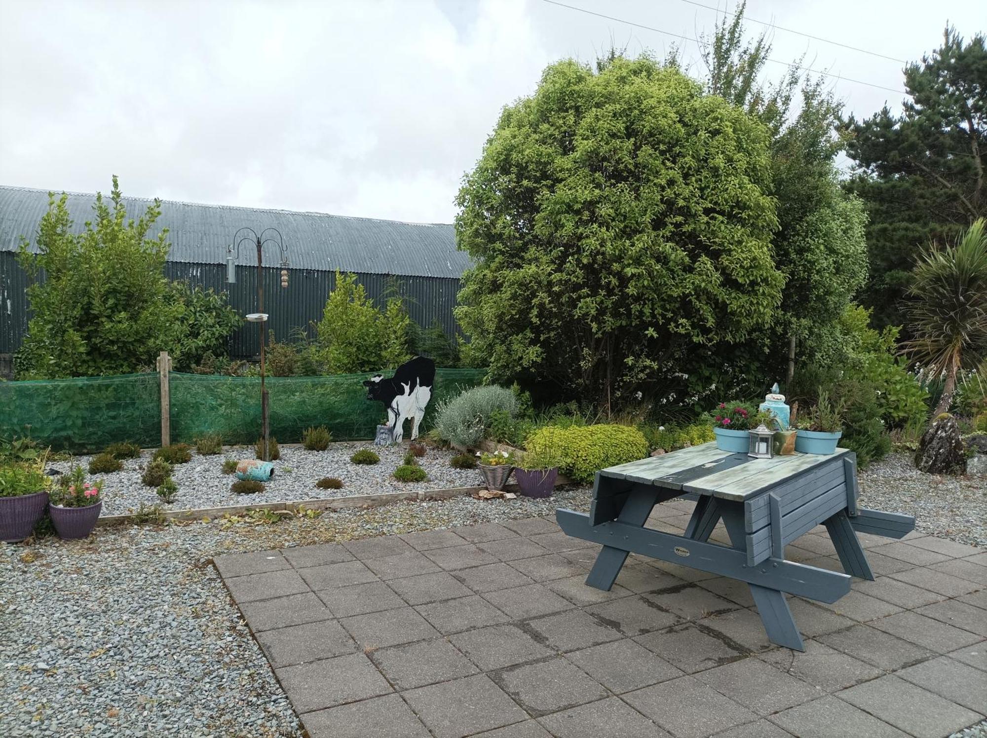 Clifden Wildflower Cottage - Clifden Countryside Lettings المظهر الخارجي الصورة